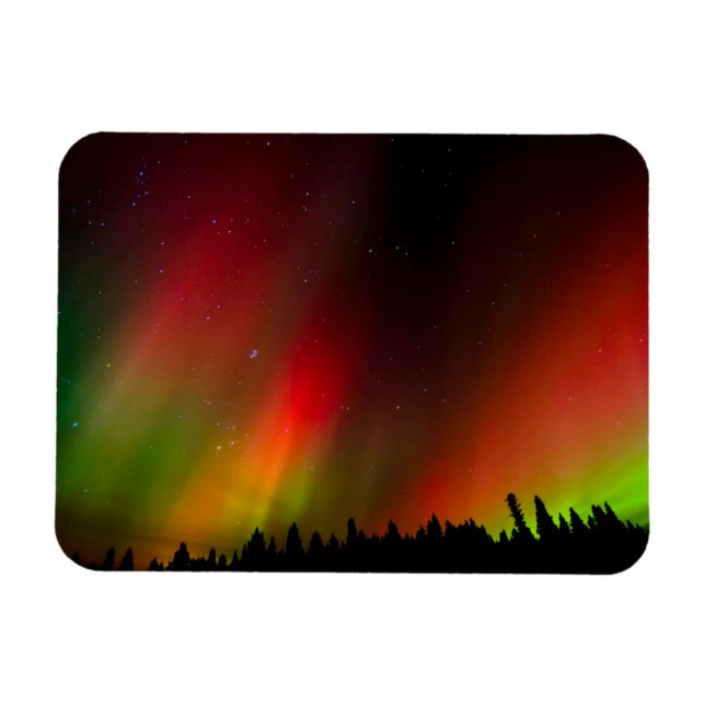 Aurora Borealis och träd Magnet (Horisontell)