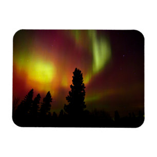 Aurora Borealis och Träd Magnet