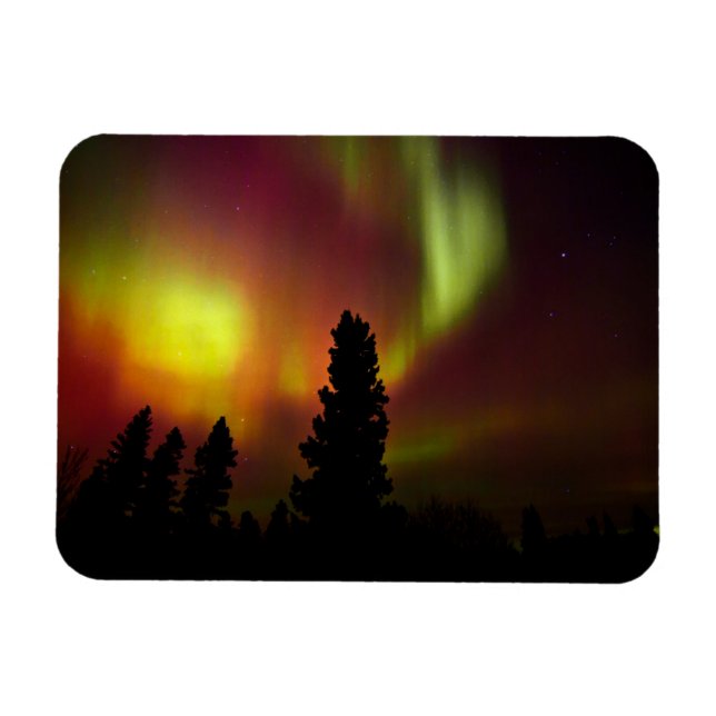 Aurora Borealis och Träd Magnet (Horisontell)