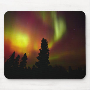 Aurora Borealis och träd Musmatta