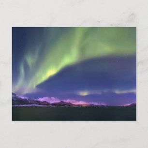 Aurora Borealis ovanför Lyngenfjorden Norge Vykort