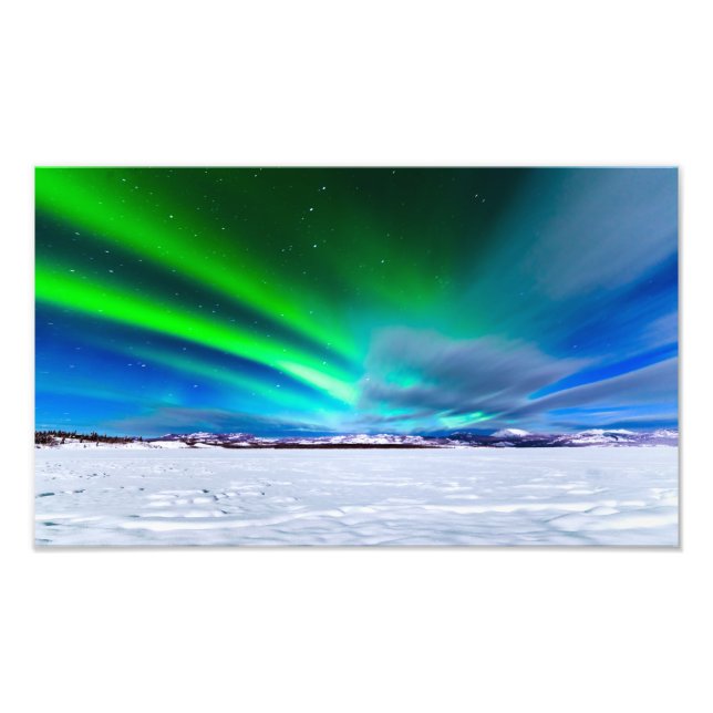 Aurora borealis över fryst Sjö Laberge, Yukon Fototryck (Framsidan)