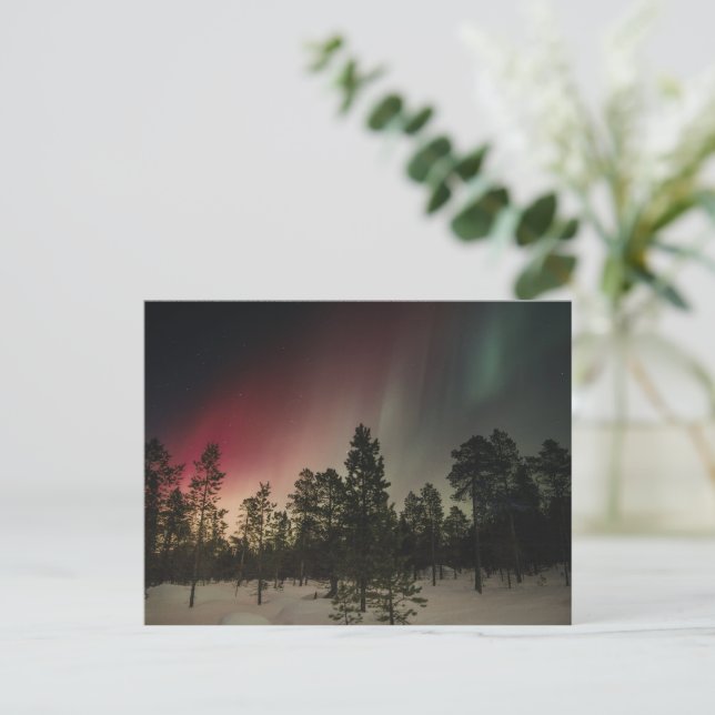 Aurora Borealis över snöig skog Vykort (Stående Fram)