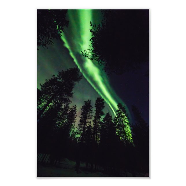Aurora borealis på finska Lappland Fototryck (Framsidan)