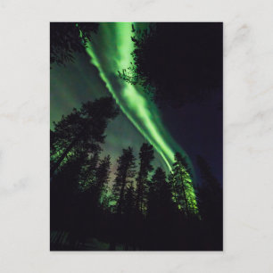 Aurora borealis på finska Lappland Vykort