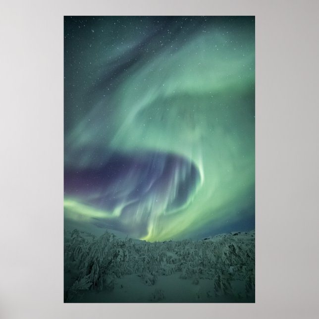 Aurora Borealis Poster (Framsidan)