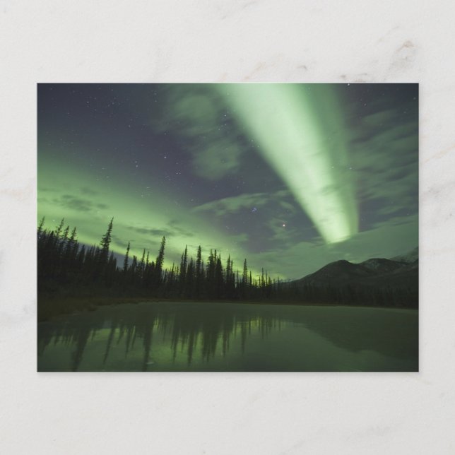 Aurora borealis speglas i tundra damm vykort (Framsida)