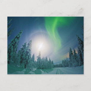 Aurora Borealis Vykort