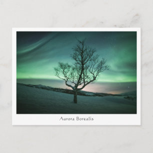 Aurora Borealis Vykort