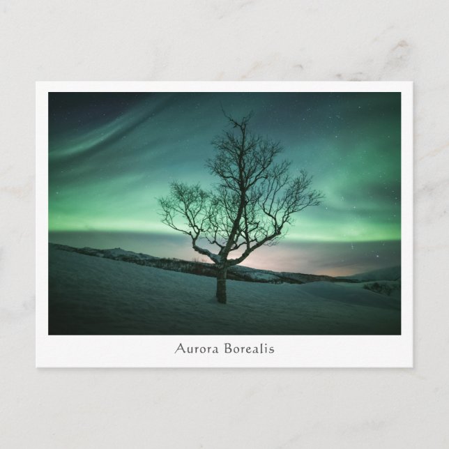 Aurora Borealis Vykort (Framsida)