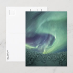 Aurora Borealis Vykort