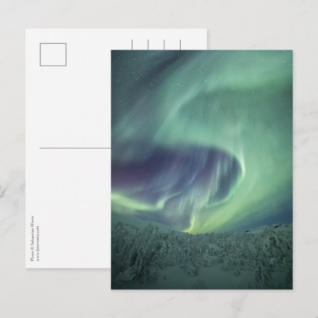 Aurora Borealis Vykort (Fram/baksida)