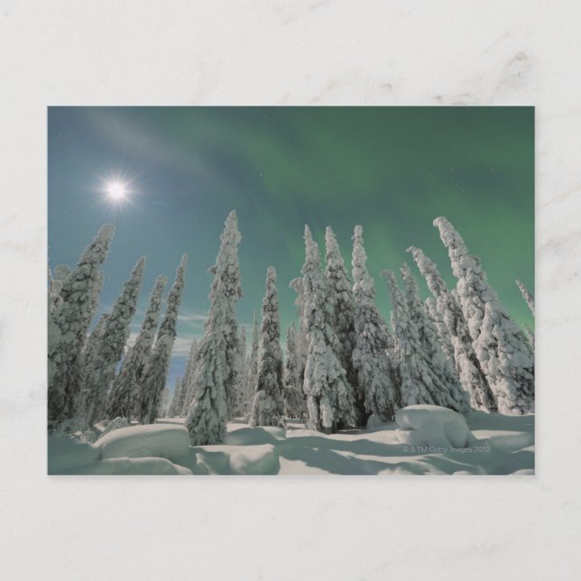 Aurora Borealis Vykort (Framsida)