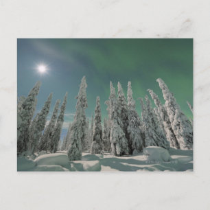 Aurora Borealis Vykort