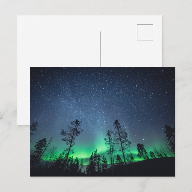 Aurora Forest Vykort (Fram/baksida)