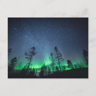 Aurora Forest Vykort