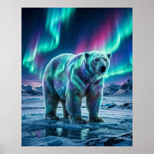 Aurora Isbjörn Norra himlen Poster (Framsidan)