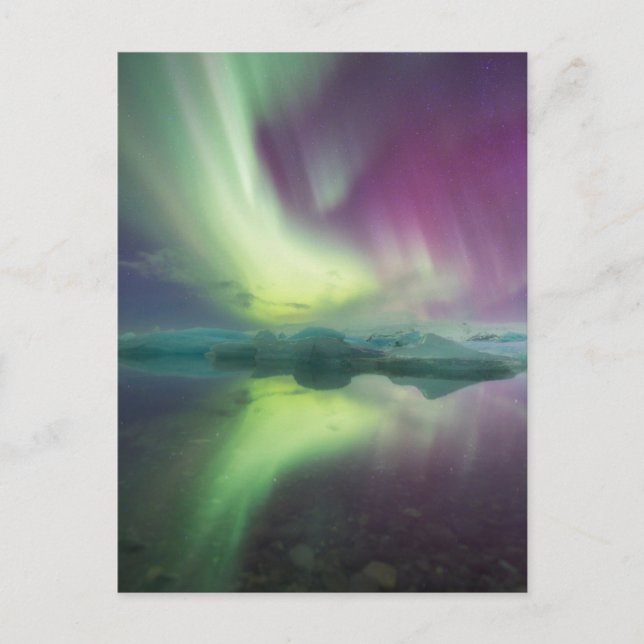 Aurora Lights in Lagoon | Jokulsarlon, Iceland Vykort (Framsida)