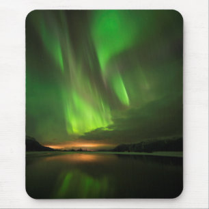 Aurora nedströms musmatta