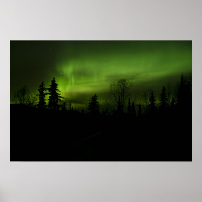 Aurora över utskrift från Denali Poster (Framsidan)