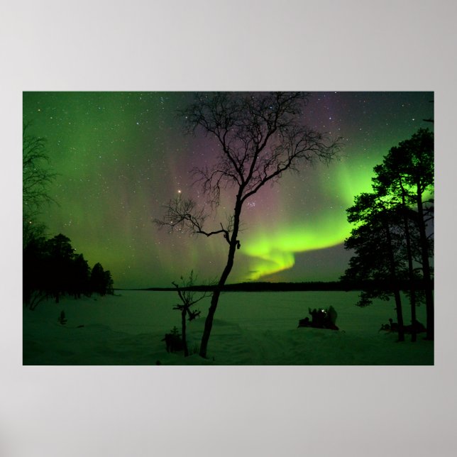 Aurora Poster (Framsidan)