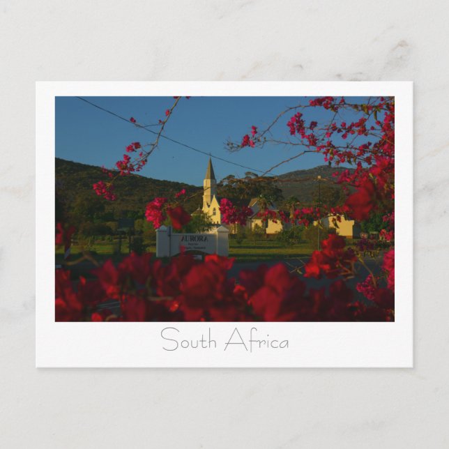 Aurora Väster Flowers South Afrika SA Vykort (Framsida)