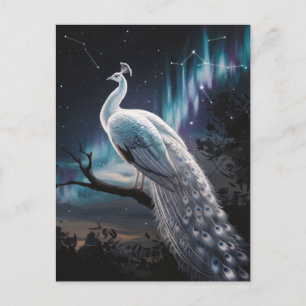Auroran Borealis Scenia Vykort