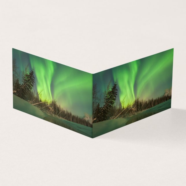 Auroran Leaning Spruce Kort (Utsida)