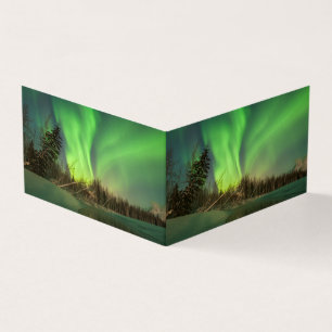 Auroran Leaning Spruce Kort