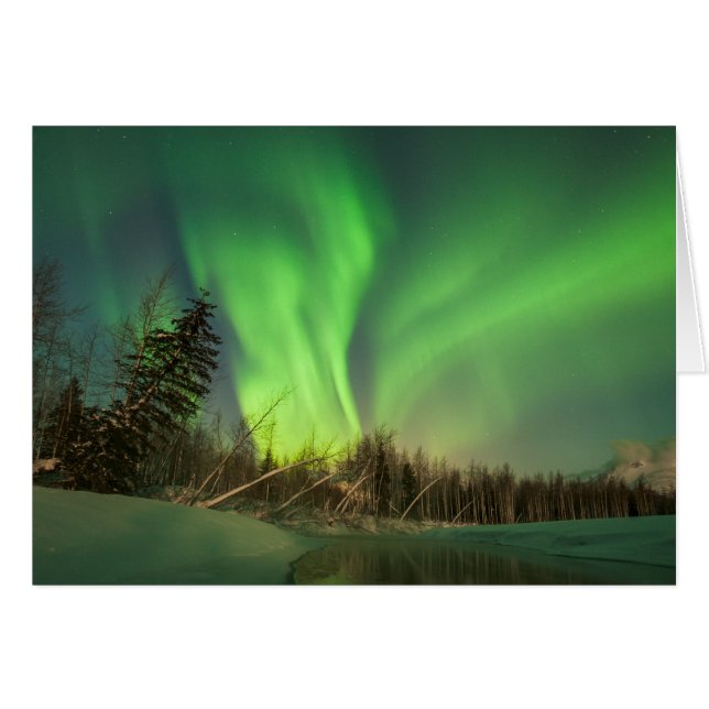 Auroran Leaning Spruce OBS Kort (Framsidan Horizontal)