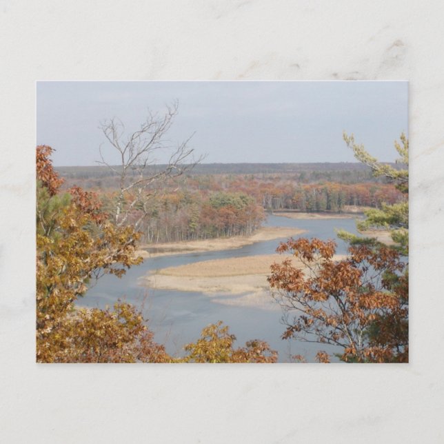 AuSable River Postcard Vykort (Framsida)