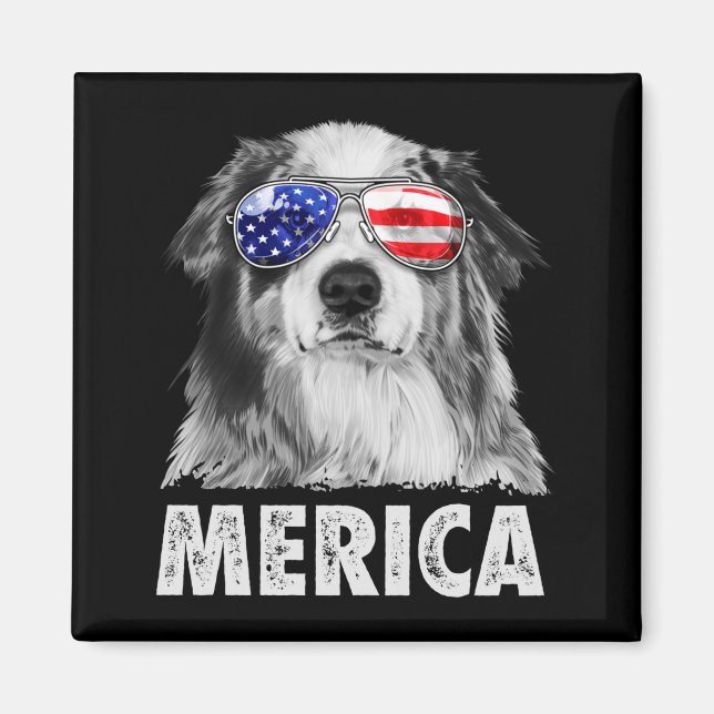 Aussie australian shepherd 4 juli merica magnet (Framsidan)