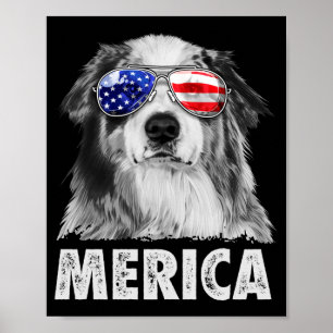 Aussie australian shepherd 4 juli merica poster