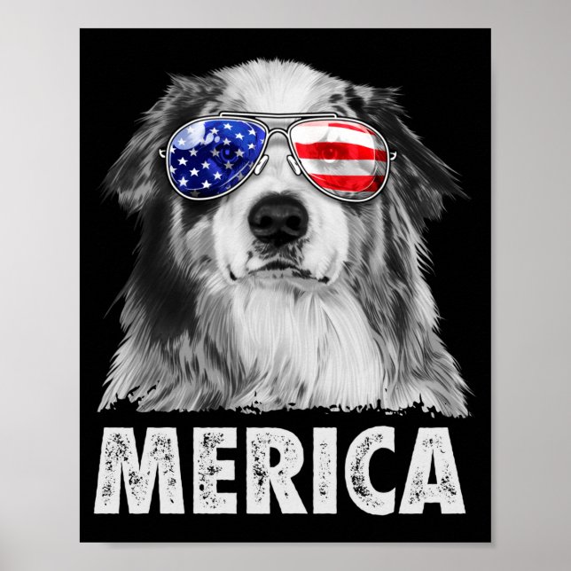 Aussie australian shepherd 4 juli merica poster (Framsidan)