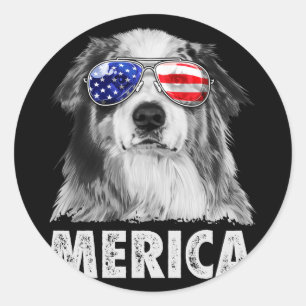 Aussie australian shepherd 4 juli merica runt klistermärke