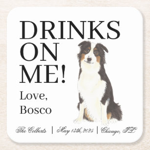Aussie Australian shepherd Bröllop Underlägg Papper Kvadrat