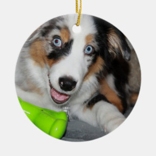 aussie blåttmerle puppy.png julgransprydnad keramik