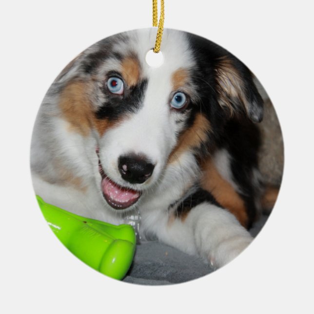 aussie blåttmerle puppy.png julgransprydnad keramik (Framsidan)