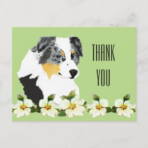 Aussie Blue Merle Hund Tack vykort