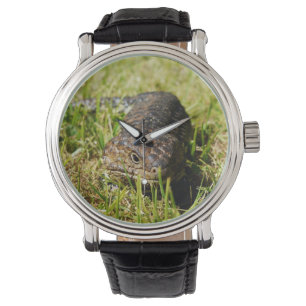Aussie Blue Tunga Lizard Armbandsur