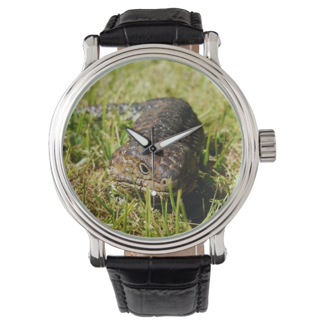 Aussie Blue Tunga Lizard Armbandsur (Framsida)