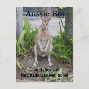Aussie Boy, vykort