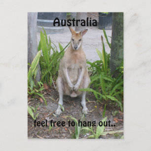Aussie Boy, vykort