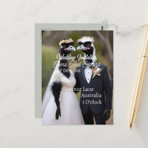 Aussie Bröllop Australian Emus, Bröllop Vykort