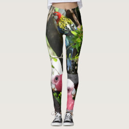 Aussie djurliv leggings