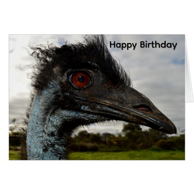 Aussie Emu Attraktion,Födelsedagskort Hälsningskort (Framsidan Horizontal)