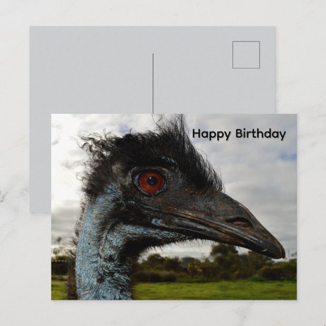 Aussie Emu Attraktion, Födelsedagskort Vykort (Fram/baksida)