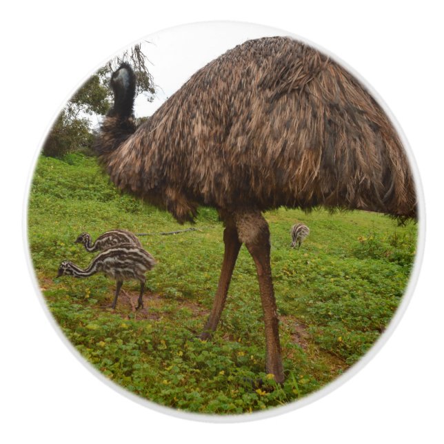Aussie Emu med Chickar Knopp (Framsidan)