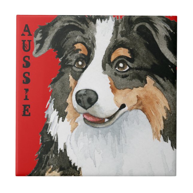 Aussie Färg Block Kakelplatta (Framsidan)