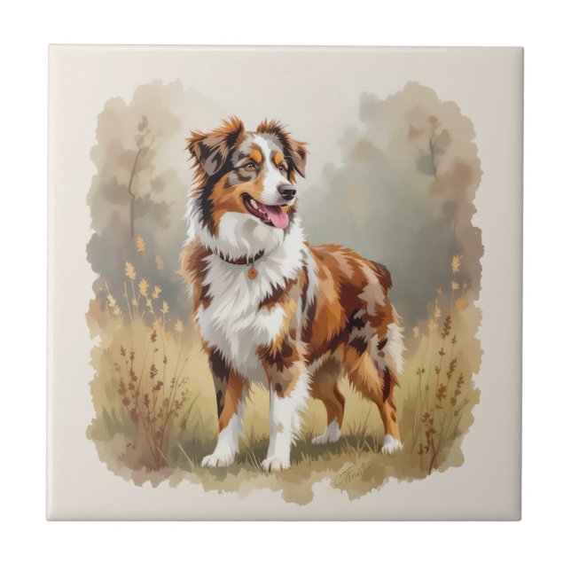Aussie Hund Australian Shepherd Dog Röd Merle Kakelplatta (Framsidan)
